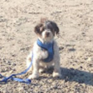 Meet your Posher, Kelli